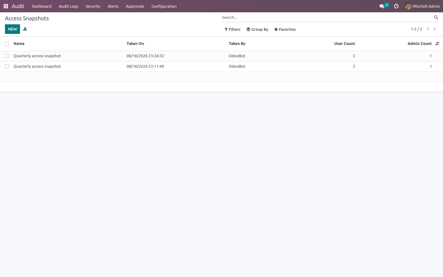Access snapshot - bambooforge_audit_pro