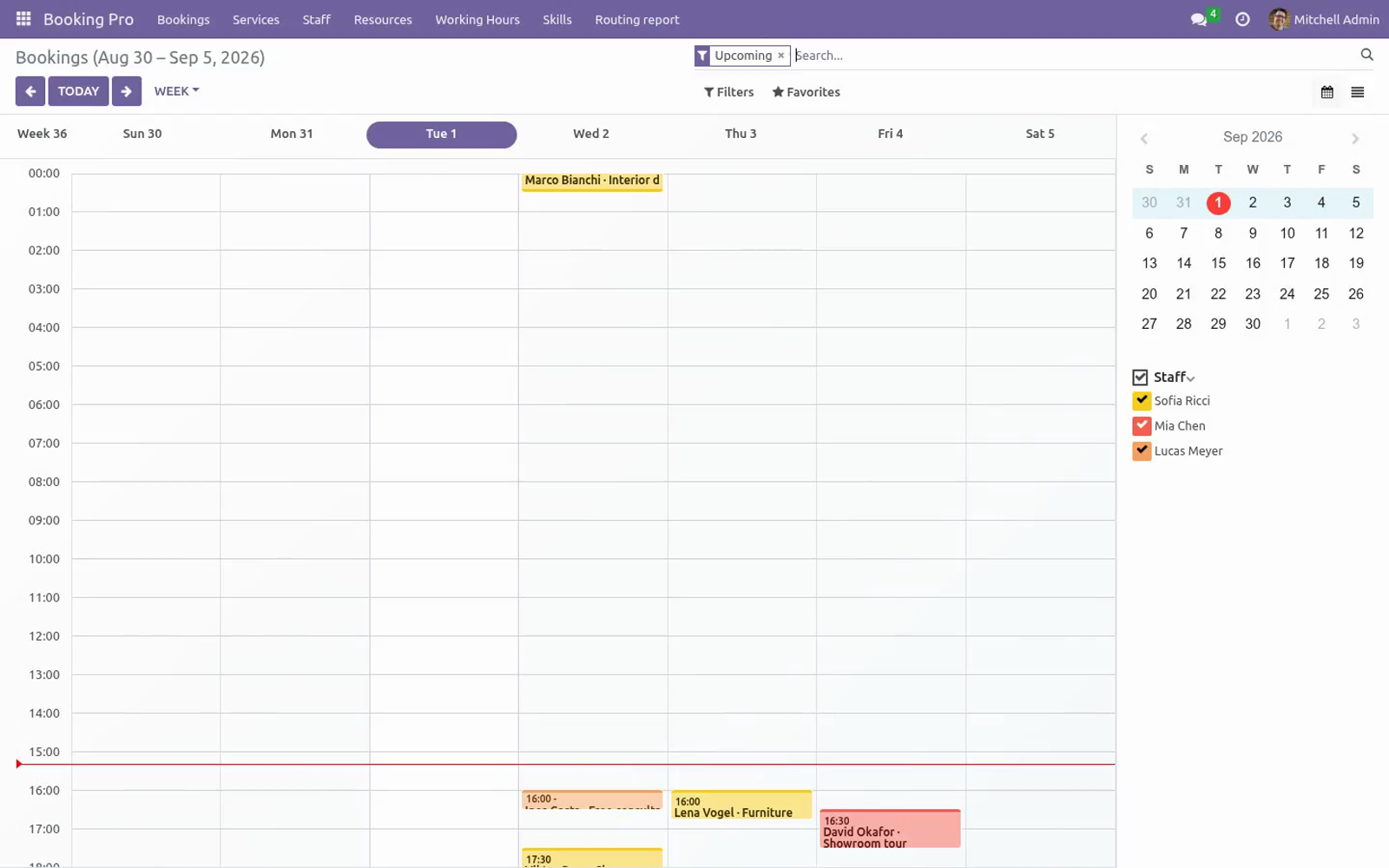 Booking resources - bambooforge_booking_pro
