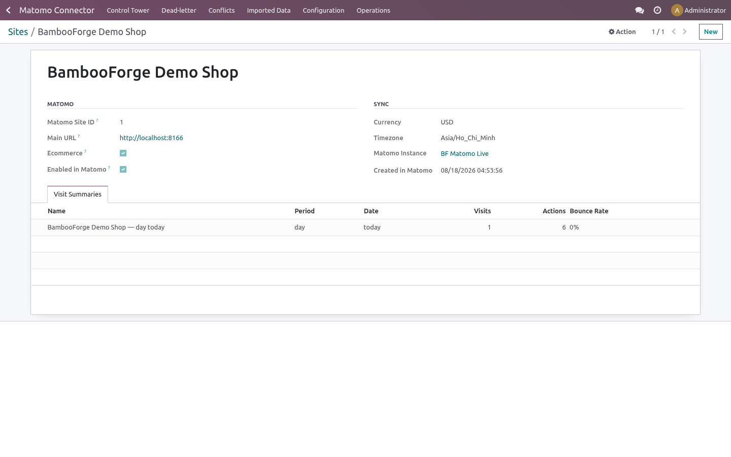 02 synced site - bambooforge_matomo_connector