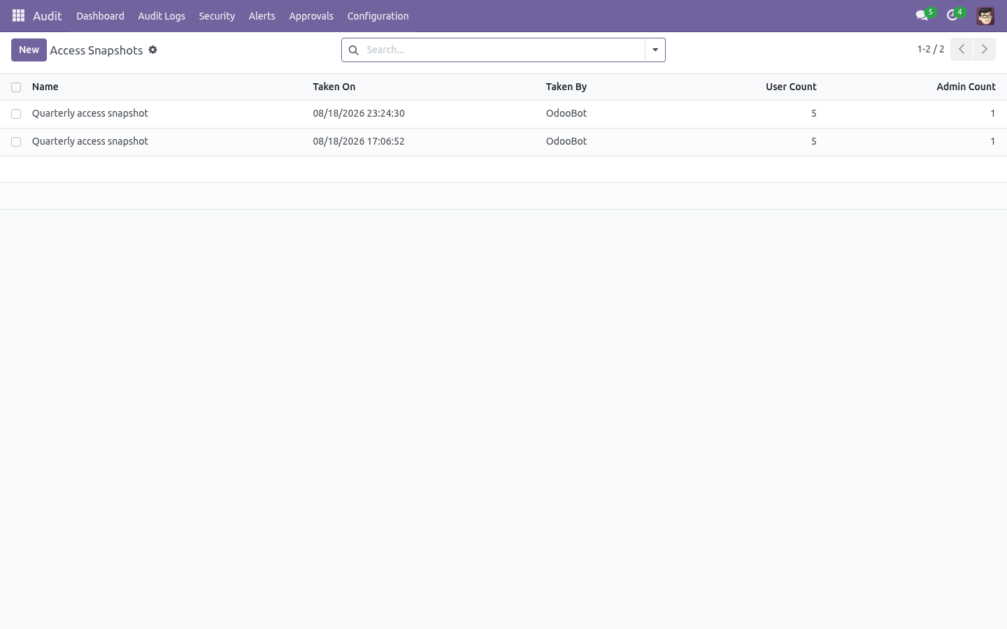 Access snapshot - bambooforge_audit_pro