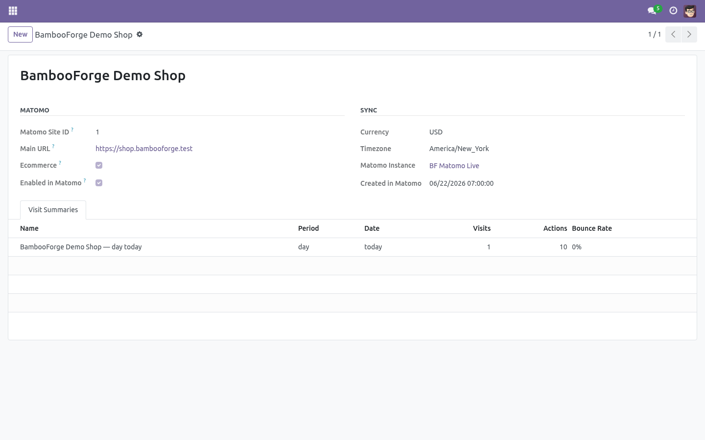 02 synced site - bambooforge_matomo_connector