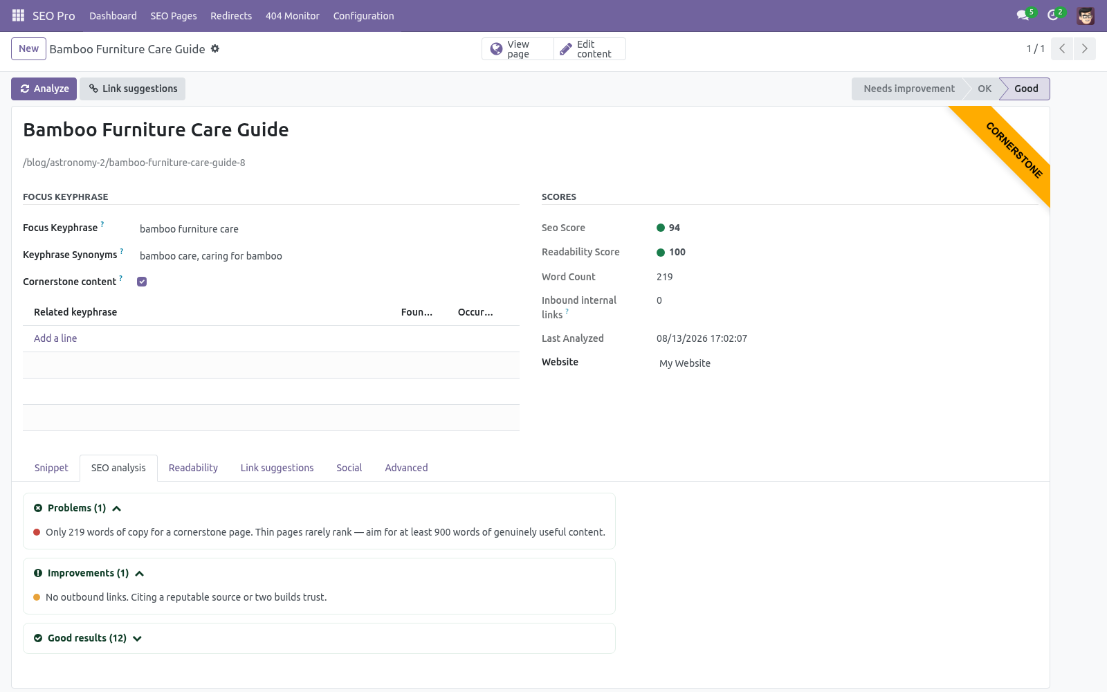 Seo page analysis - bambooforge_seo_pro