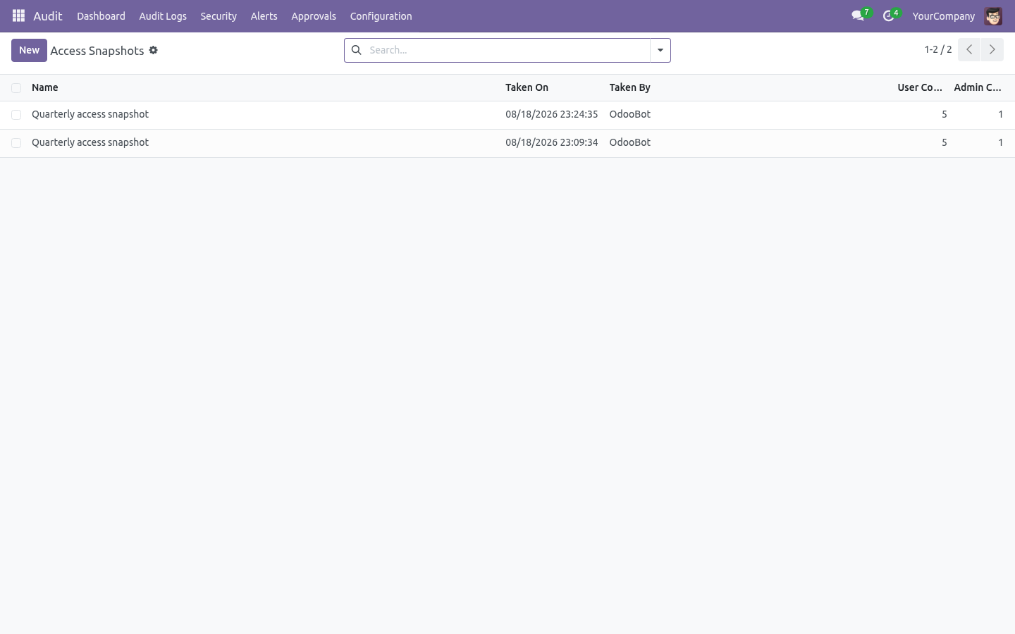 Access snapshot - bambooforge_audit_pro