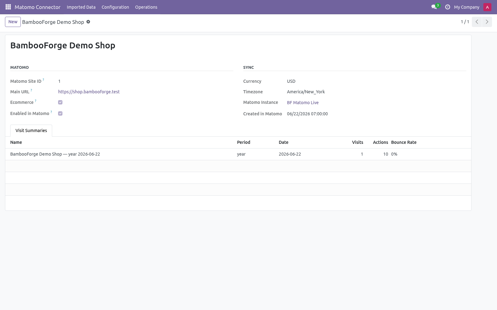 02 synced site - bambooforge_matomo_connector