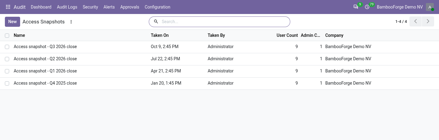 Access snapshot - bambooforge_audit_pro