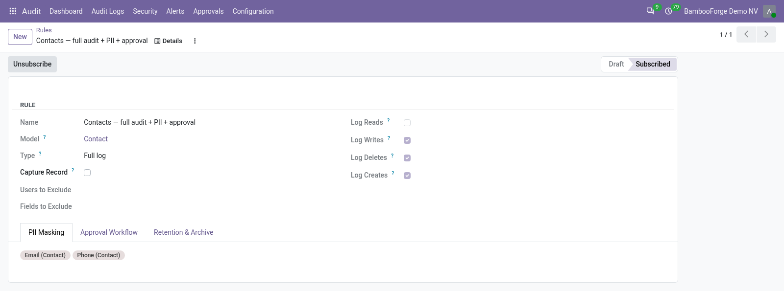 Rule form - bambooforge_audit_pro
