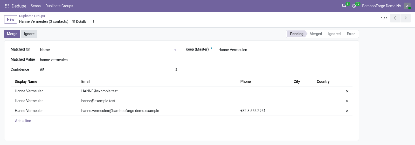 Group form - bambooforge_partner_dedupe