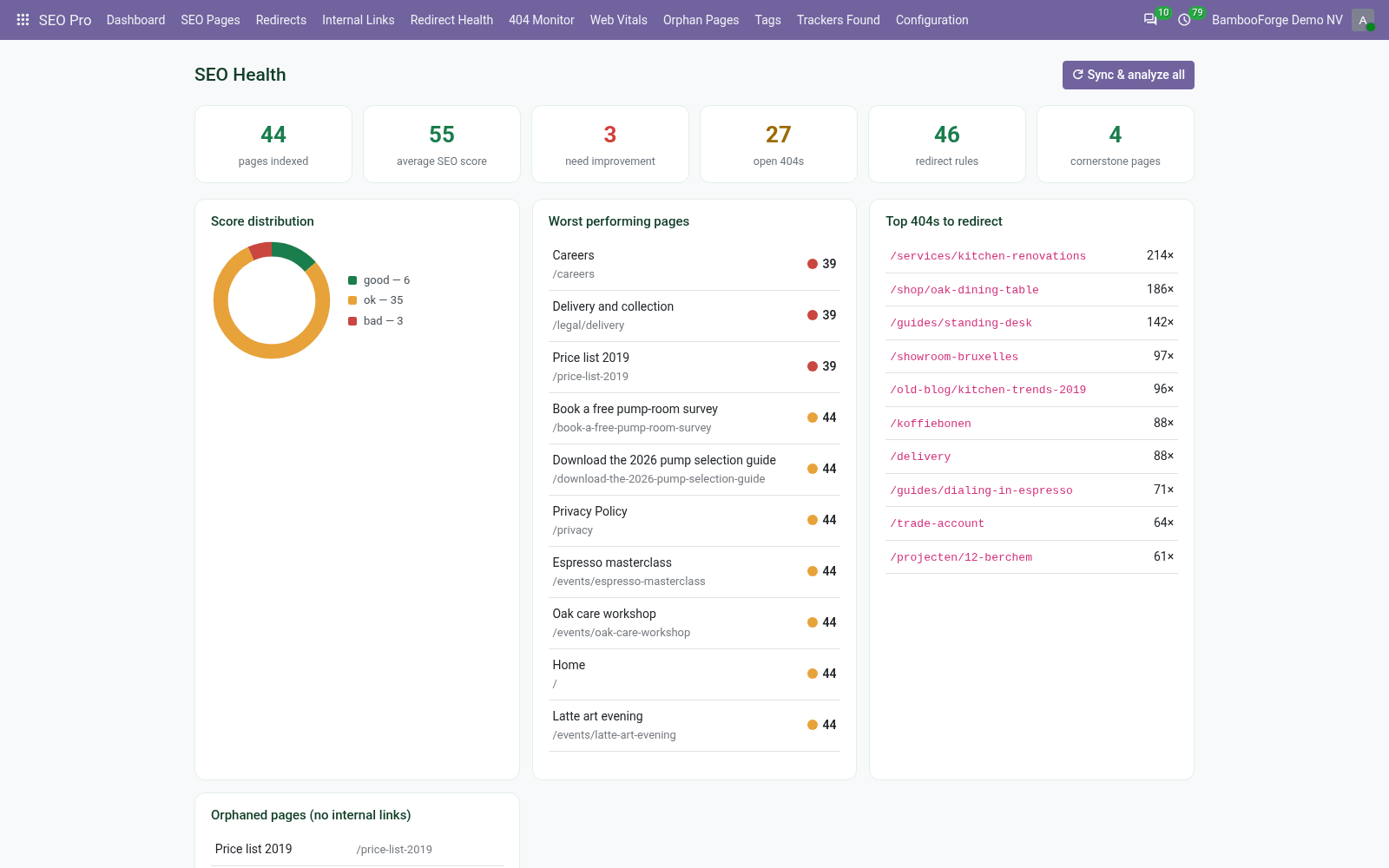 Seo dashboard - bambooforge_seo_pro