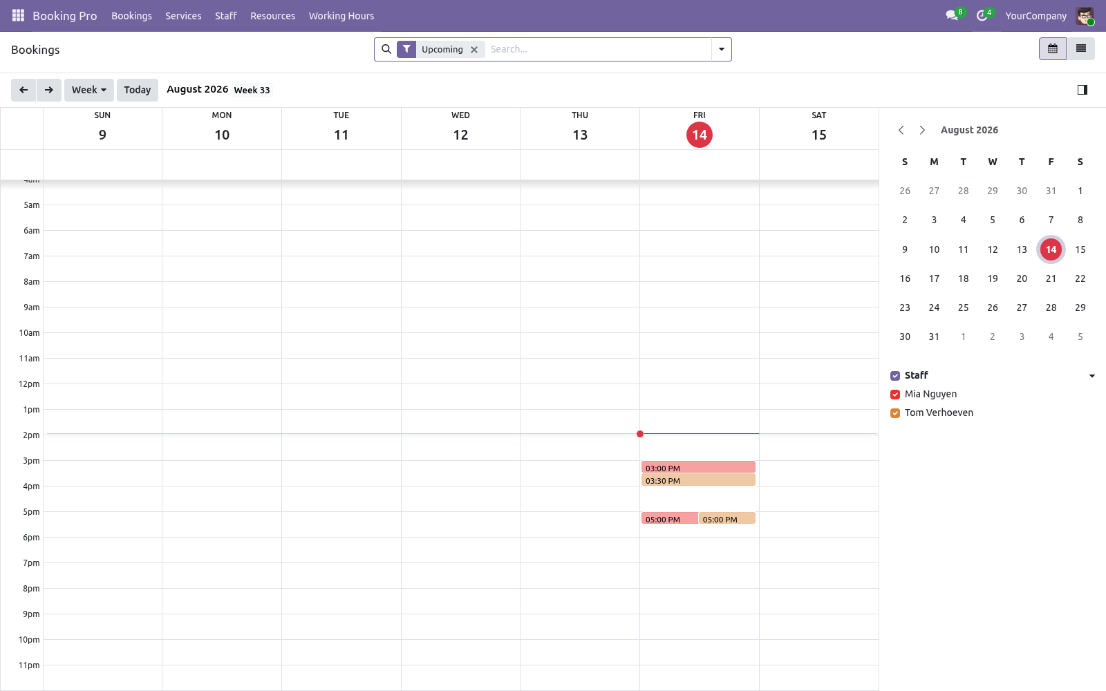 Booking calendar - bambooforge_booking_pro