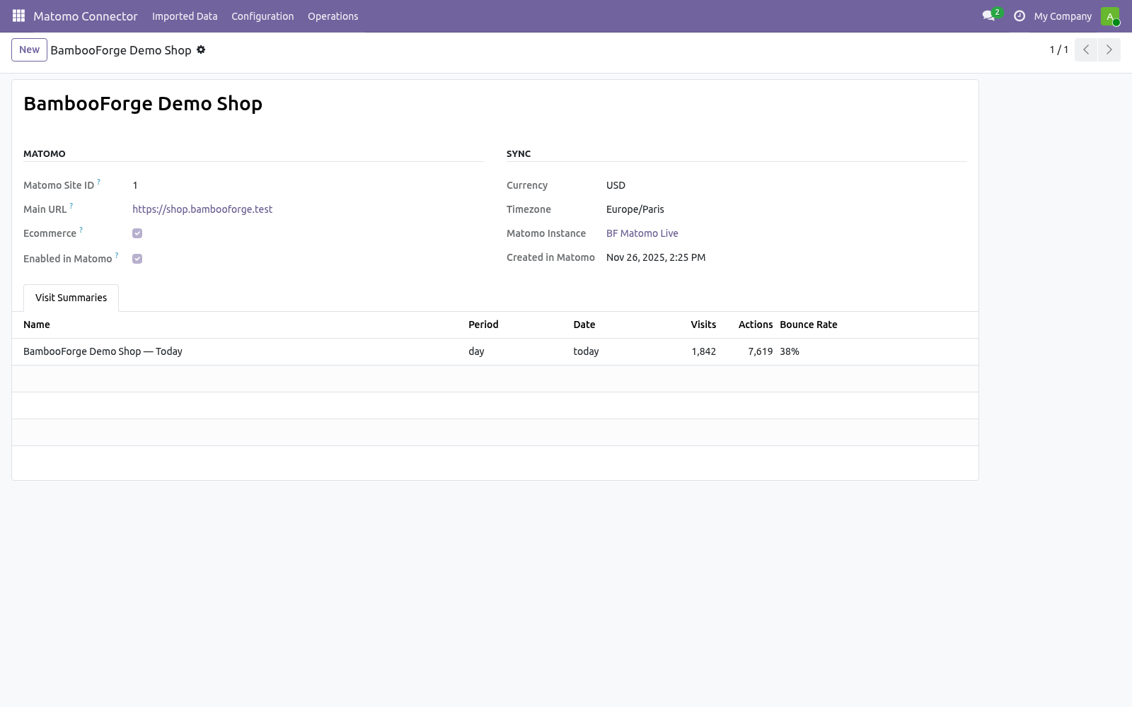 02 synced site - bambooforge_matomo_connector