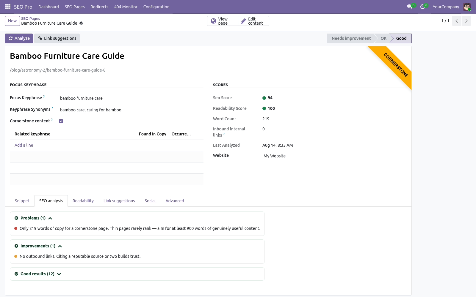 Seo page analysis - bambooforge_seo_pro